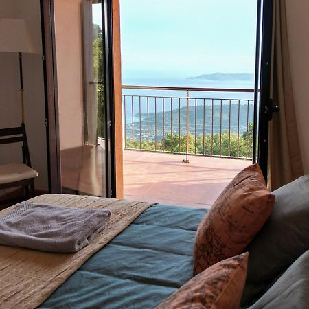 Grande Villa 750 M2 Le Mas Des Chenes Bormes-les-Mimosas Esterno foto