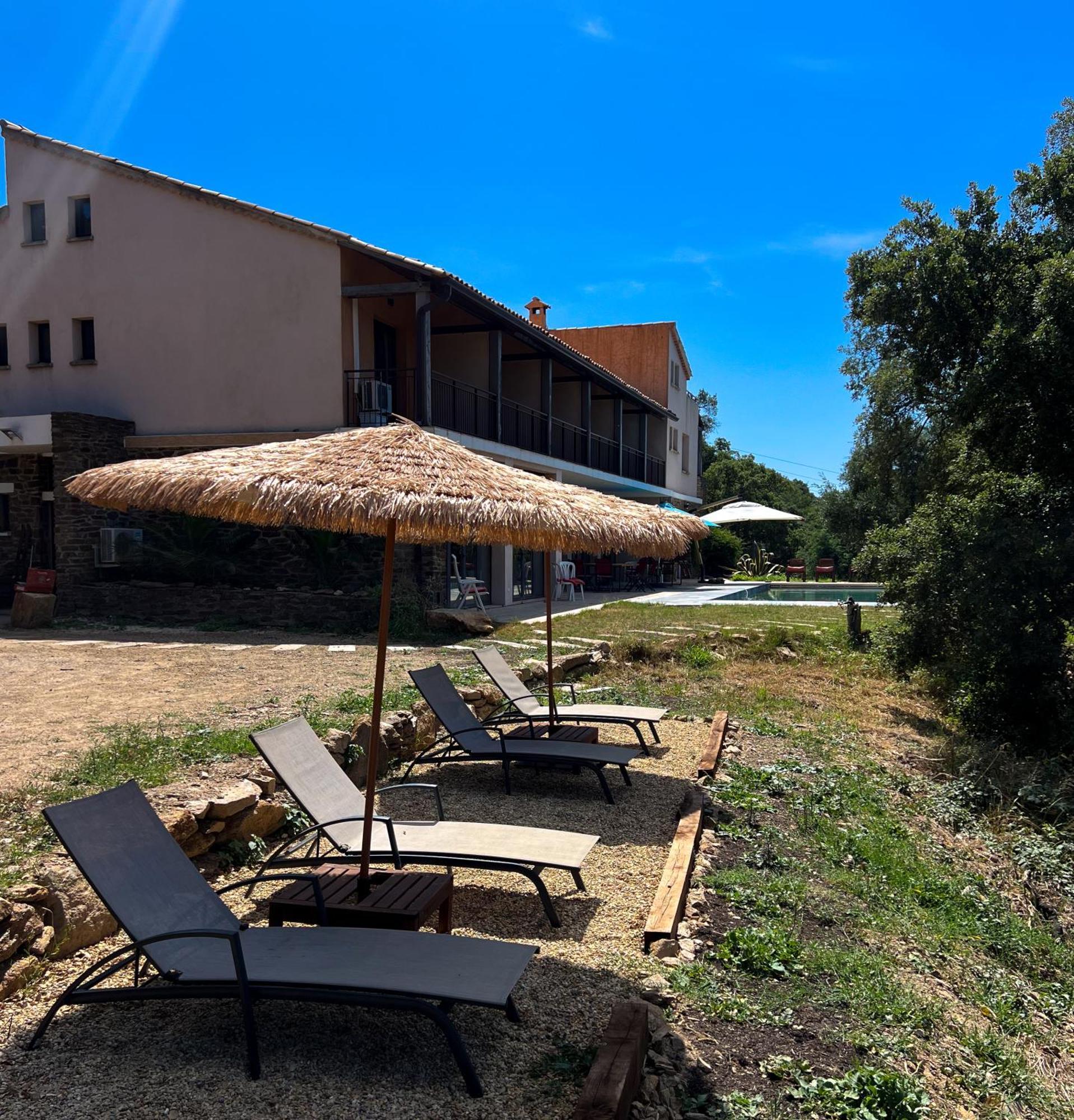 Grande Villa 750 M2 Le Mas Des Chenes Bormes-les-Mimosas Esterno foto